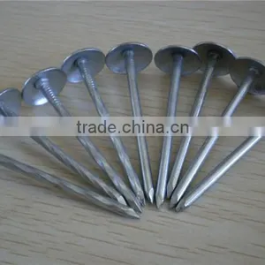 Galvanized Nails Roofing Nails Common Iron Nails thumbnail-1