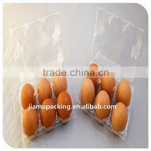 Clear Plastic Chicken Egg Tray for Six Eggs thumbnail-2