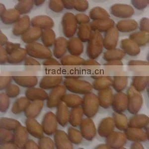 Indian Ground Nut Kernels High Quality thumbnail-1