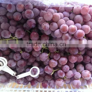 2014 New Crop Red Globe Grapes thumbnail-5