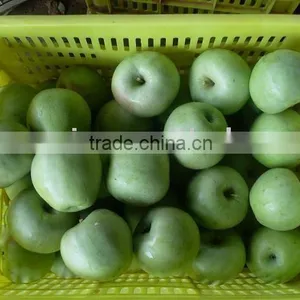 Fresh Granny Qinguan Apple thumbnail-1