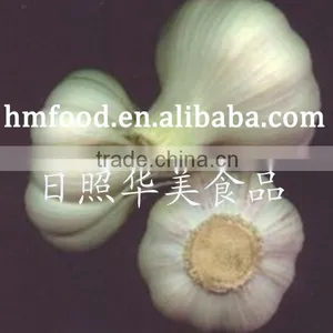 Natural White Fresh Garlic for Sale thumbnail-1