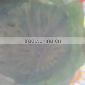 DRIED LOTUS LEAVES thumbnail-2