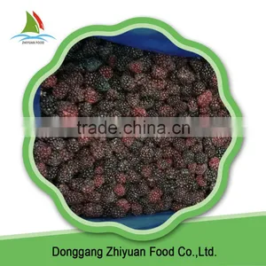High Quality Organic Black Berries thumbnail-4