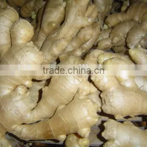 New Crop China Fresh Ginger for Sale thumbnail-1