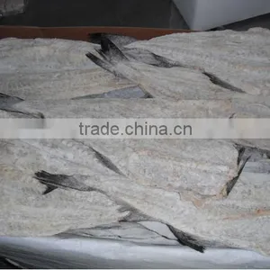 Dried Salted Cod Fish Herring thumbnail-1