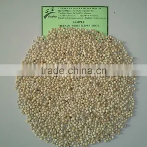 VIETNAM WHITE PEPPER 550 G/ l, 600 G/L, 630 G/L BEST QUALITY thumbnail-1