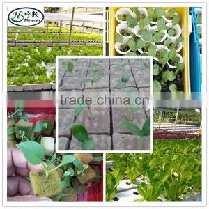 Hydroponics Rockwool Cubes | Rockwool Growing Medium thumbnail-6