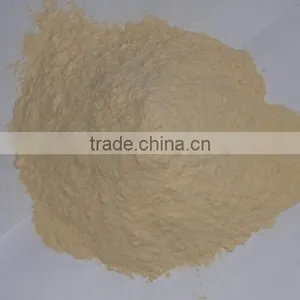 High Quality Wheat Gluten Meal thumbnail-2
