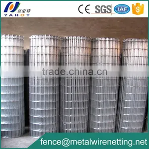 Welded Wire Mesh Hot Dipped Galvanized thumbnail-2
