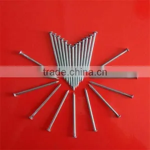 Polish Common Nail From Professional Factory thumbnail-1