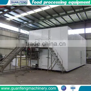 Top Products Hot Selling New Iqf Fruit Preservation Equipment thumbnail-1