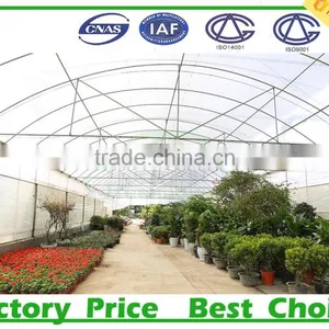 High Tunnel Plastic Agricultural Greenhouses for Sale thumbnail-1