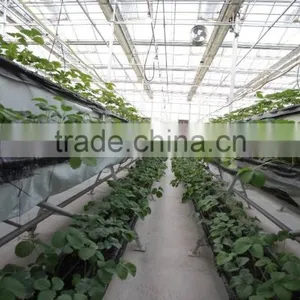 Greenhouse Kit thumbnail-6