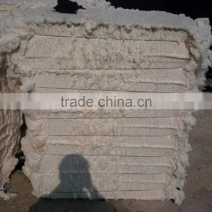 Raw Cotton / 100% Cotton Raw / 100% Cotton thumbnail-1