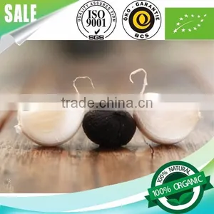 Healthcare Product Odorless Aged Peeled Solo Black Garlic thumbnail-4