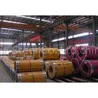JIS SUS EN GB DIN Standard Hot Rolled Stainless Steel Coil ASTM A240 316L 309S 310S 430 thumbnail-1