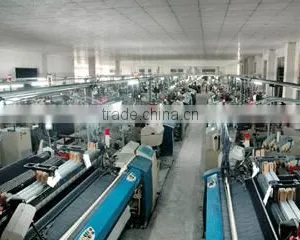 Foshan Nanhai Weilong Textile Co., Ltd. company overview - view 3 thumbnail
