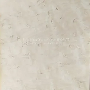 Natural Bird's Eye Maple Wood Veneer thumbnail-2