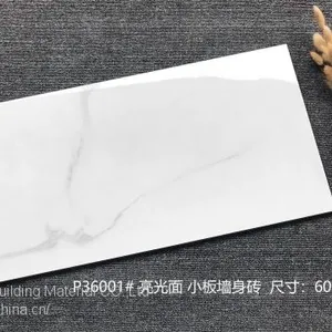 Foshan Porcelain Low Water Absorption 300x600 White Gloss Wall Tile thumbnail-2