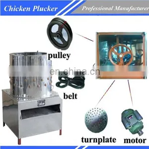 China Chicken Plucker/chicken Plucker and Scalder/chicken Defeather Machine Slaughter Line thumbnail-5