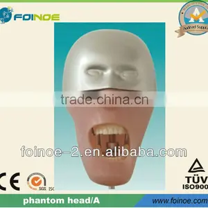 HOT Selling CE Approved Phantom Head (Model:A) thumbnail-1