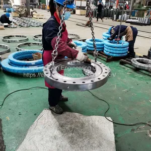Slewing Bearing for Crane Accessories WITH EXTERNAL GEAR thumbnail-1