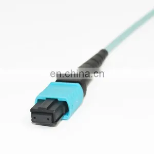 24F MPO Trunk Cable Assemblies Solutions Fan Out thumbnail-1