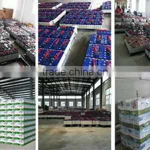 Lithium Ion Battery 12v 50ah for Solar Light thumbnail-4