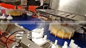 Cheesecake Machines Processing Line thumbnail-2