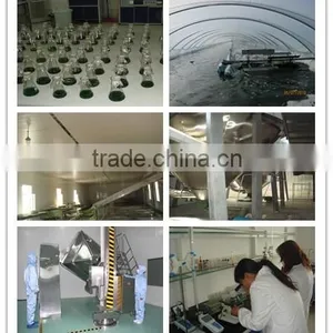 Organic Spirulina Powder Toz, Selling Price for Spirulina thumbnail-2