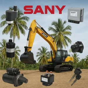 Repuestos De Excavadora SANY Piezas Originales Y OEM Para Excavadoras SANY De China thumbnail-4