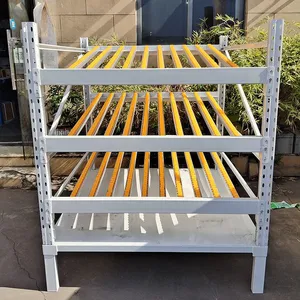 Carton Flow Shelving System for Efficient Warehouse Racking and Organization thumbnail-5