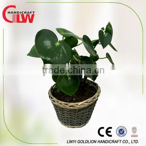 Home Garden Plant Pots, Flower Pots thumbnail-1