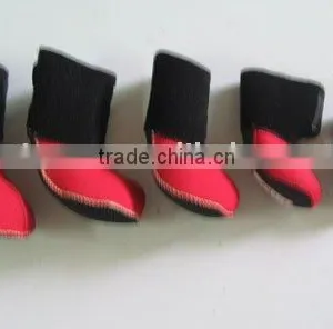 Pet Shoes thumbnail-1