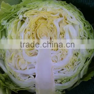 2014 New Crop Fresh Flat Chinese Cabbage thumbnail-1