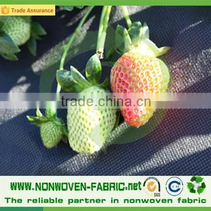 Landscape Waterproof Spunbonded pp Non Woven Fabric Price thumbnail-4