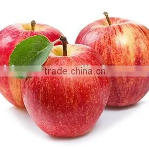 Chinese Fresh Sweet Red Star Apple With Good Quality thumbnail-4