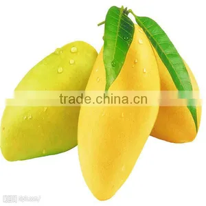 TTN Thailand Freeze Dried Fruit Freeze Dried Mango Powder thumbnail-2