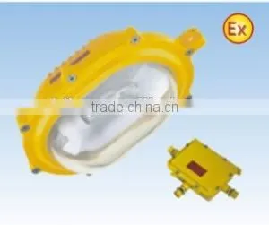 Hotsale Infield Explosion-proof IP65 Floodlight thumbnail-1