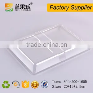 Disposable Plastic PET Fruit and Vegetable Tray thumbnail-5
