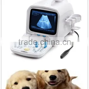 Sell High Quality Portable Ultrasonic Machine VET Veterinary Ultrasound Scanner RUS-9000V2 thumbnail-1