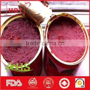 Canned Tomato Paste (70g-4500g) thumbnail-2
