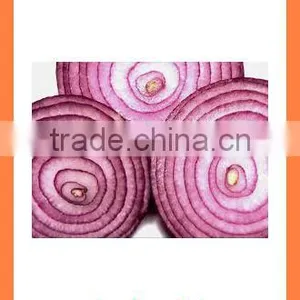 Export Best Quality Fresh Red Yellow White Onion thumbnail-4