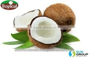 COLD PRESSED VIRGIN COCONUT OIL - ORGANIC thumbnail-3