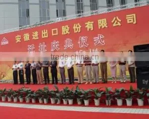 Anhui Imp. & Exp. Co., Ltd. company overview - view 3 thumbnail