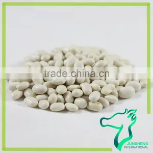 All Types Of Low Price Japanese White Kidney Bean With Super Quality thumbnail-3