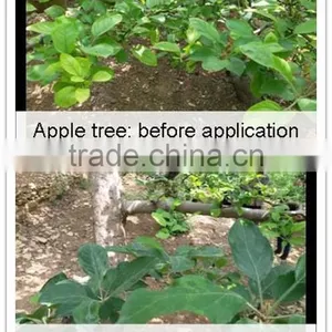 Root Growth Liquid Fertilizer thumbnail-4