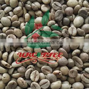 Green Robusta Coffee Beans thumbnail-1