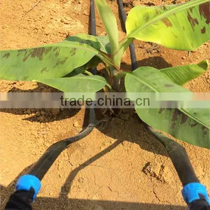 Drip Irrigation Lock Ring Coupling for Drip Tape thumbnail-2